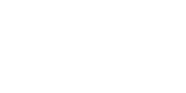 NoxChem logo